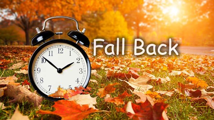 Fall Back. An alarm sits in a pile of leaves.